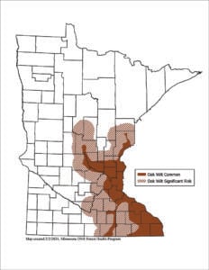 Minnesota DNR releases 2023 forest health report – Outdoor News