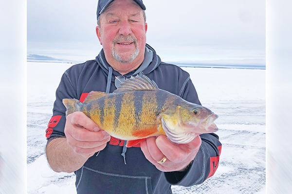 Minnesota’s Pro Fishing Tip of the Week: Perch are fun to catch, and great to eat – Outdoor News