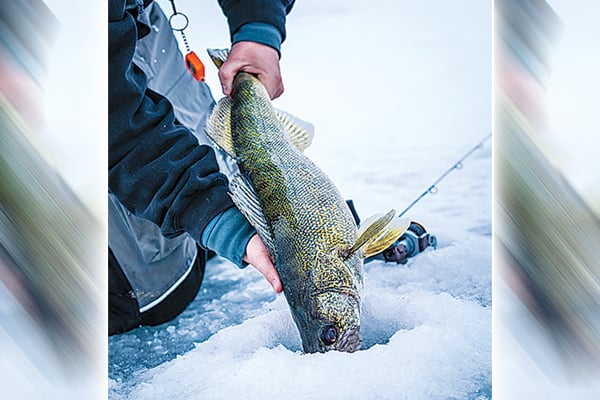 MN Daily Update: The importance of fishing with lively bait under the ice – Outdoor News