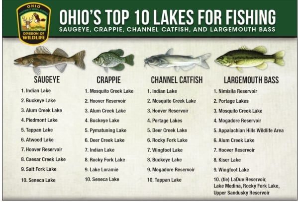 More than 10,000 Fish Ohio awards given in 2023 – Outdoor News