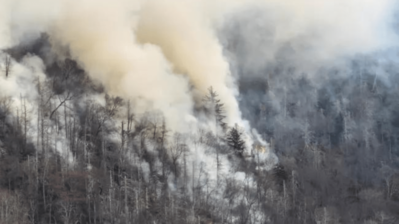 Possible Arson Case Under Investigation in Great Smoky Mountains National Park
