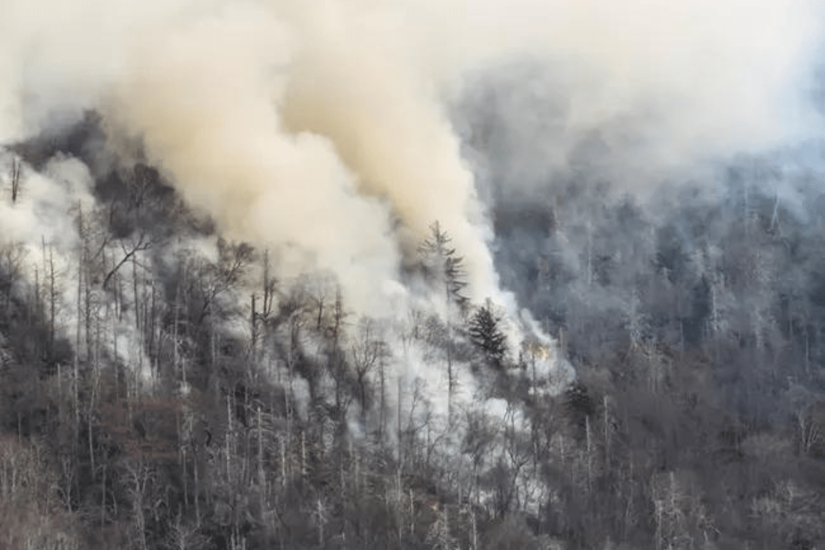 fires in great smoky mountains national park