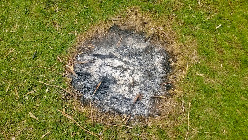 Campfire remnants in a field.