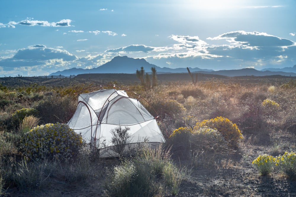 Tent set up in dispersed camping land between the desert brush.