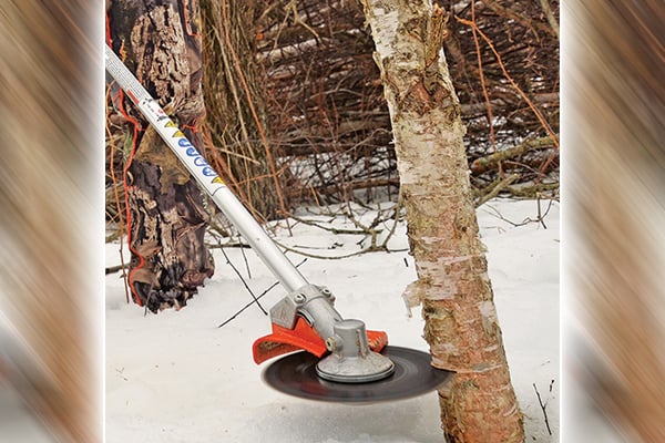 Take advantage of a perfect winter to tackle deer projects big or small – Outdoor News