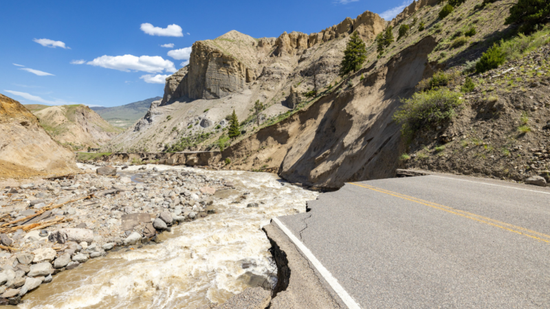 The NPS Wants Your Feedback On a New Road Into Yellowstone National Park