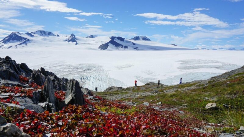 Top 3 Places to See Glaciers in the U.S.