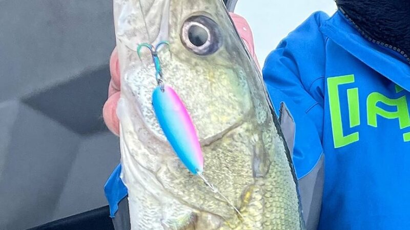 WI Daily Update: Catching winter walleyes when the bite is tough – Outdoor News