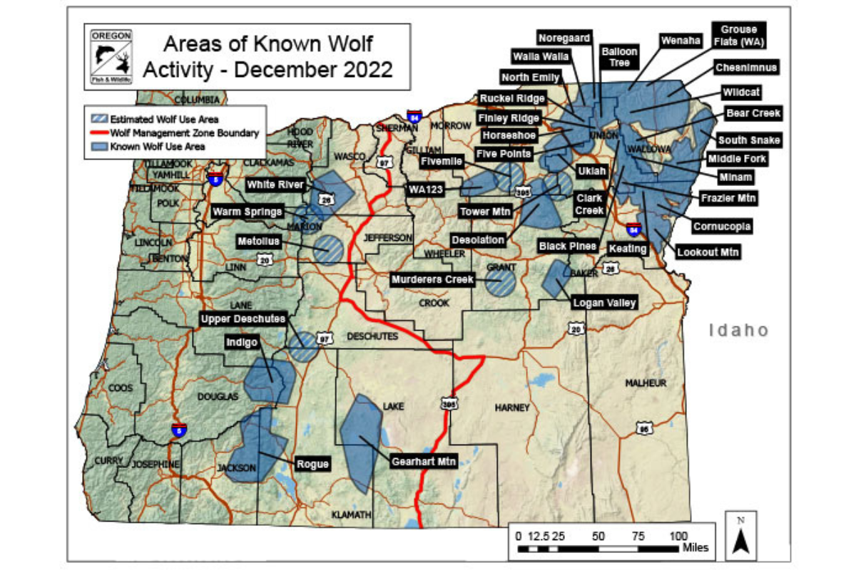 Wildlife officials are offering a reward for information about three dead wolves.