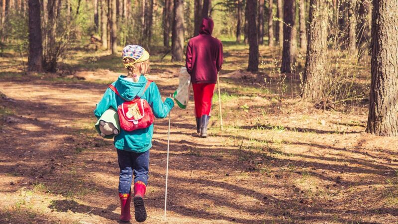 10 Tips for Hiking With Kids, Plus What to Pack and More