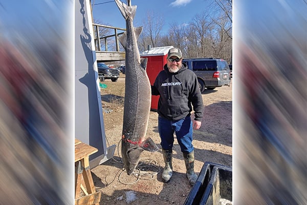 432 sturgeon weighed in despite poor ice during Wisconsin spearing season – Outdoor News
