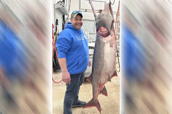 Angler lands world-record paddlefish in Missouri during his first time ever snagging – Outdoor News