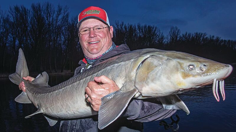 Could lake sturgeon be federally protected? Interested parties from Minnesota await decision – Outdoor News