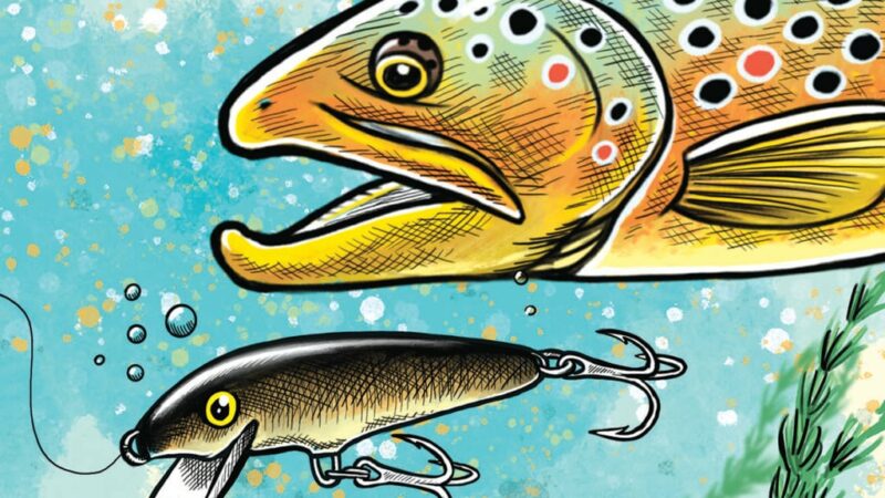 Floating jerkbaits can take big trout in high, cloudy streams – Outdoor News