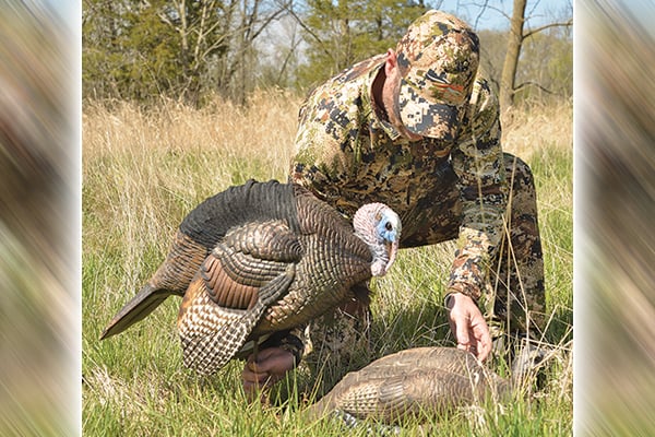 Interested in traveling for a turkey hunt? Here’s what to know – Outdoor News