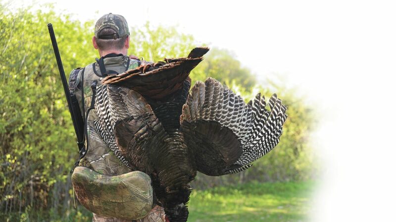 Iowa’s spring turkey season right around the corner; here’s what to know – Outdoor News