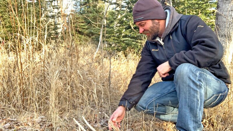 Joe Shead: Shed hunting tips after a non-winter – Outdoor News