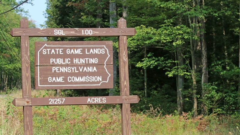 Mark Nale: Pennsylvania’s wealth of public land questioned – Outdoor News