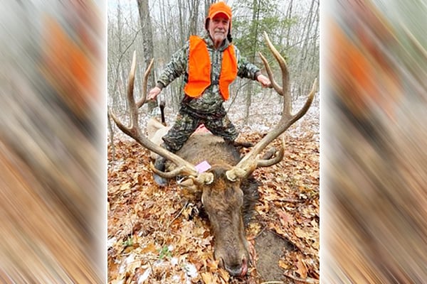 Michigan Reader Stories: An elk hunt 40 Years in the making – Outdoor News