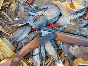 New ammo makes the 28 gauge shotgun more than a grouse, quail and dove gun – Outdoor News