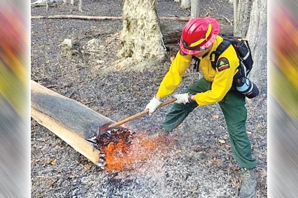 New York’s annual brush burning ban now in effect – Outdoor News