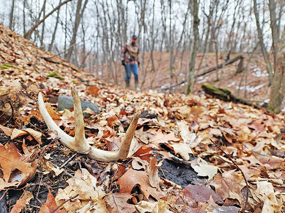 Ryan Rothstein: For whitetails, what a difference a year makes in northern states – Outdoor News