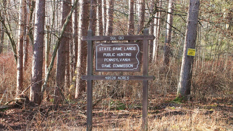 Senators want Pennsylvania Game Commission to pay more to local communities – Outdoor News