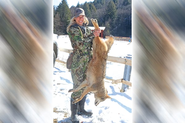 Some of the biggest coyotes ever taken in Pennsylvania’s Mosquito Creek contest shot this year – Outdoor News