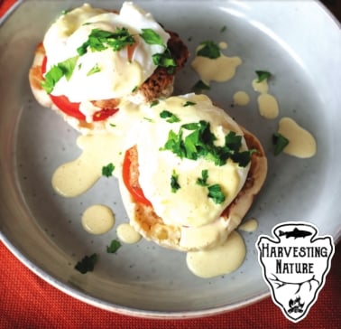 Taste of the Wild: Chorizo pheasant eggs benedict with a hatch chili bearnaise – Outdoor News