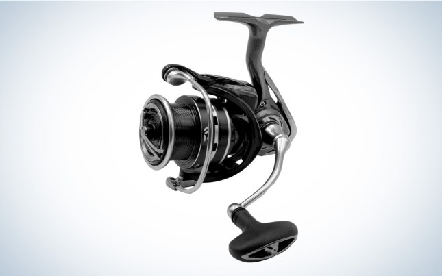 The Best Spinning Reels Under $100, Tested and Reviewed