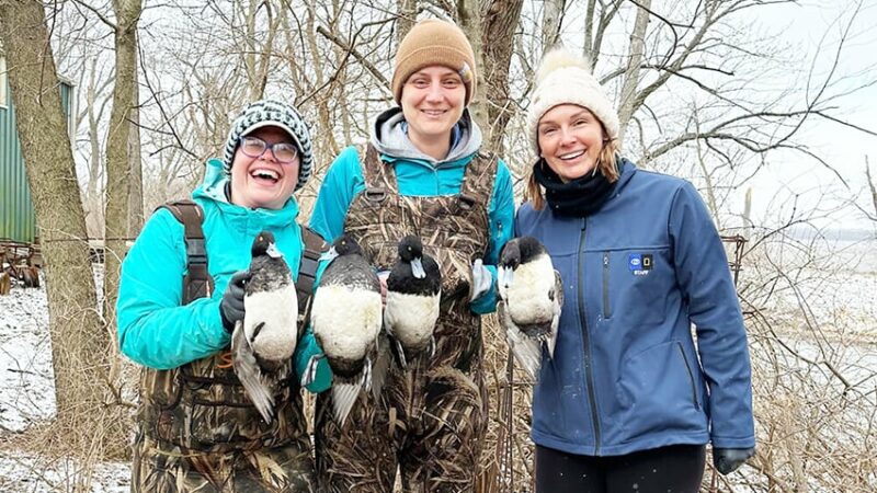Tracking of bluebills in Illinois study looks to help solve mysterious decline – Outdoor News
