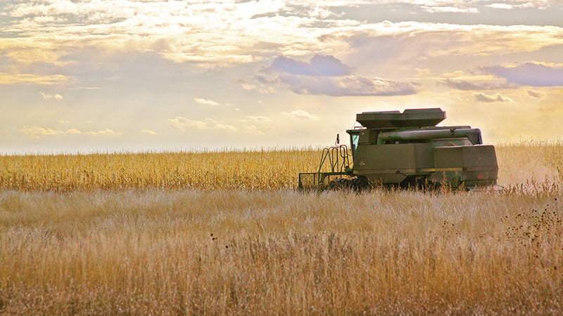 USDA announces general CRP signup as farmers, conservationists await details of next farm bill – Outdoor News