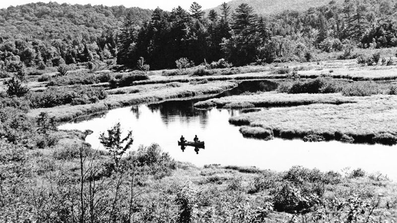 What shaped the great Adirondack forest into what it is today? – Outdoor News