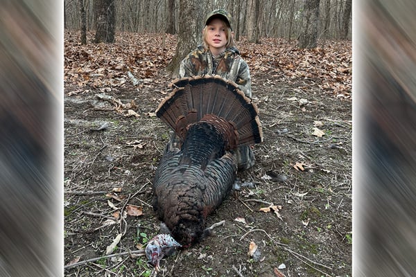 A look inside the numbers as Illinois youth turkey hunters set new harvest record in 2024 – Outdoor News