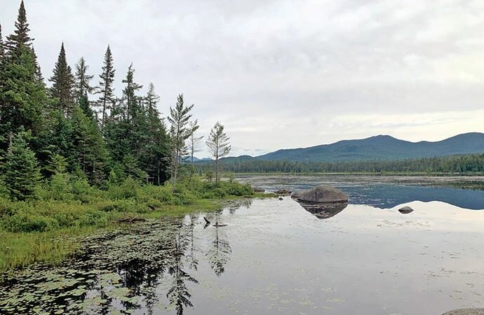 Adirondack timber and hunting lands change hands – Outdoor News