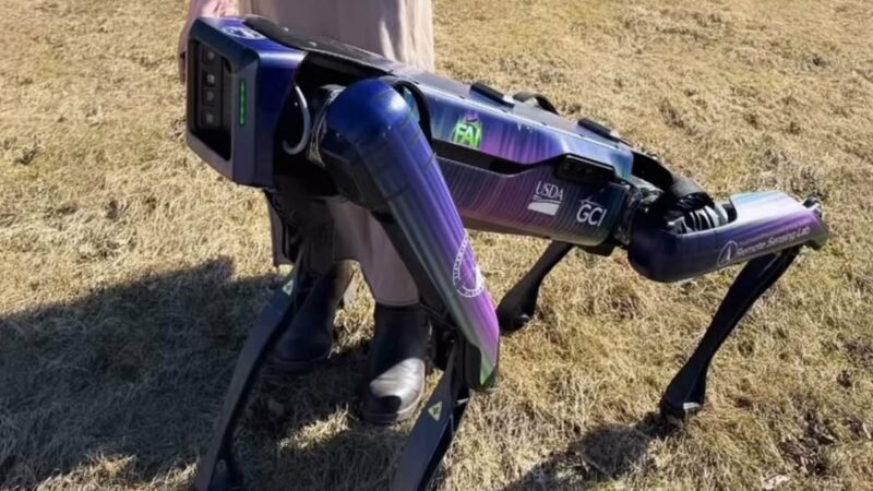 Alaska Testing $70K Robot Dog for Clearing Wildlife from Airport