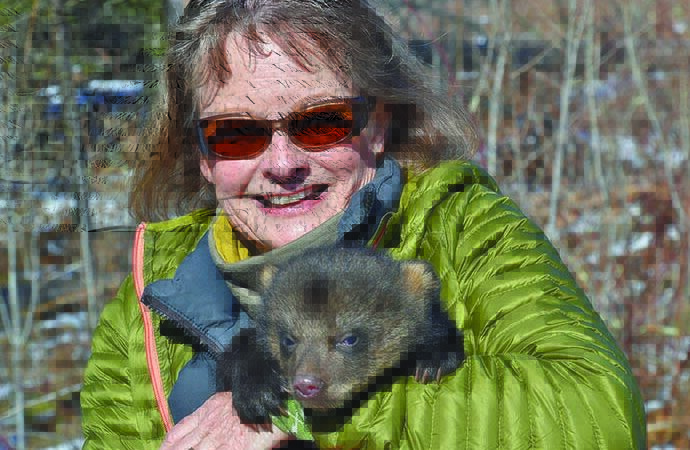 Christine Thomas: University of Wisconsin-Stevens Point celebrates 50 years of black bear research – Outdoor News