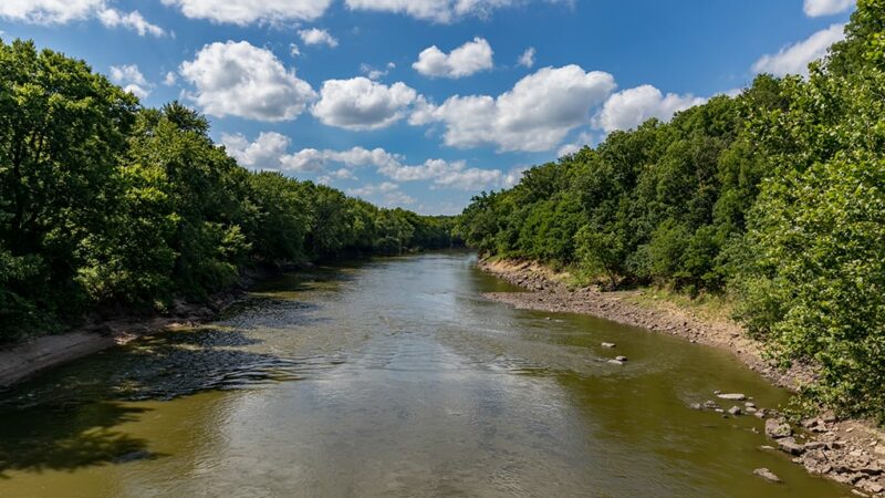 Dam removal project will open access on the Sangamon River in Illinois – Outdoor News