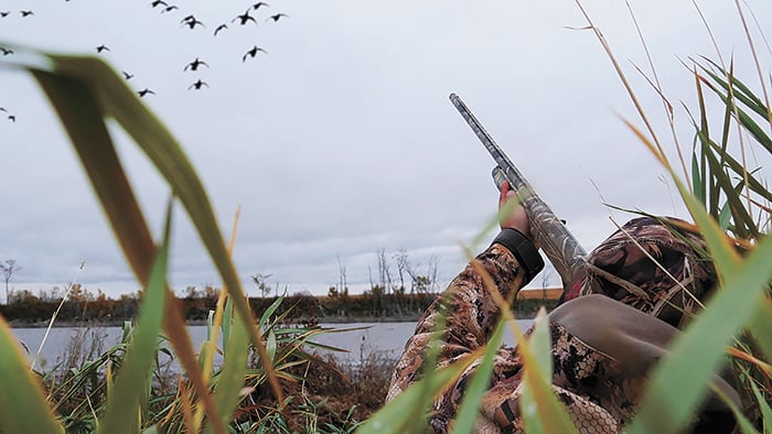 Ducks Unlimited offers its duck-hunting season in review – Outdoor News