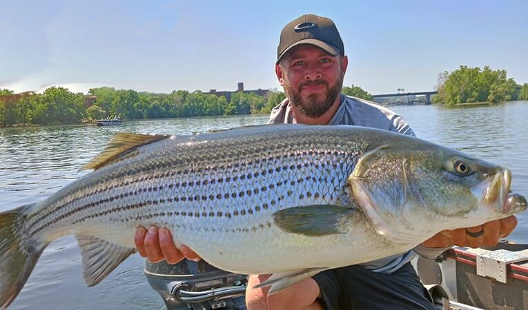 Fishing New York’s Hudson River for striped bass? Here’s what to consider if using a guide – Outdoor News