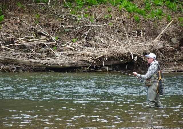 Fishing the large waterway of Pennsylvania’s Big Pine Creek is tough chore right now, but the trout are there – Outdoor News