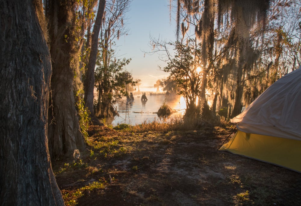Yellow tent at waterfront campsite with swampy bayou in background 