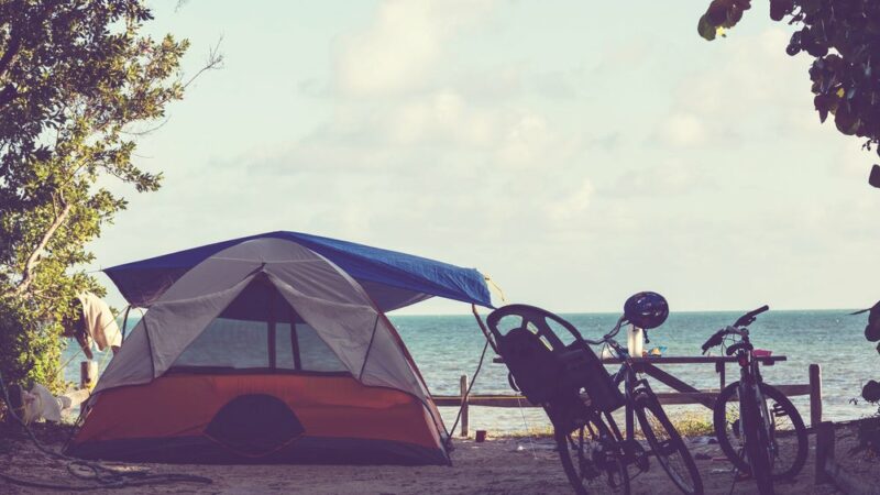 Free Camping in Florida: Tips For Saving Green in the Sunshine State