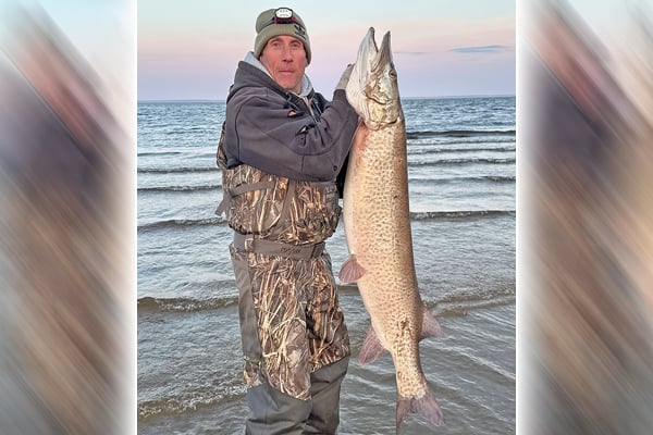 Green Bay produces giant 56-inch muskie for Wisconsin angler fishing for walleyes – Outdoor News