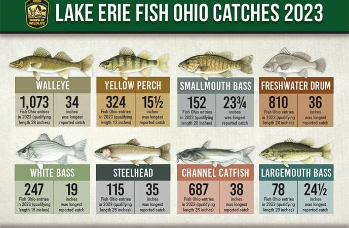 Lake Erie provided majority of Fish Ohio catches in 2023 – Outdoor News