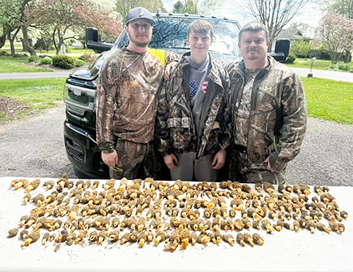 Morel hunters, turkey hunters find common (woods) ground – Outdoor News
