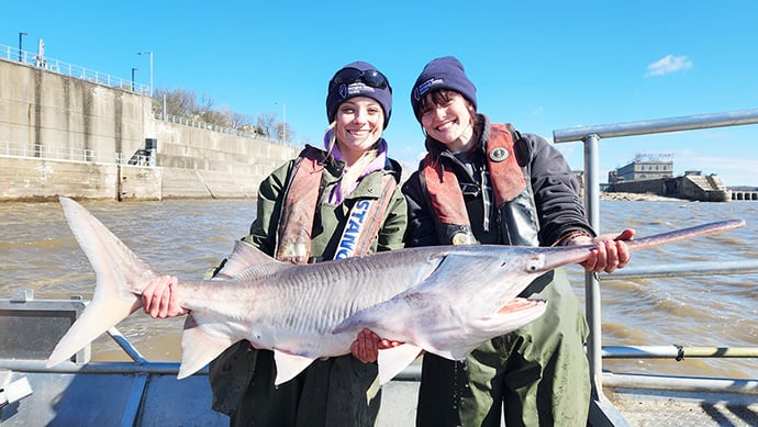 Paddlefish, rainbow trout part of ‘interesting’ catches by researchers at Mississippi River Lock and Dam 19 – Outdoor News