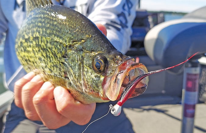 Steve Carney: Modest fishing success on the South Dakota border, but best is yet to come – Outdoor News