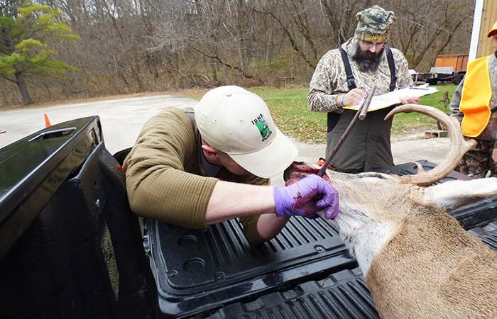 Study shows Illinois hunters more accepting of sharpshooting in CWD management efforts – Outdoor News