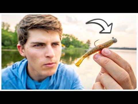 The Ned Rig: A Complete Guide to Baits, Gear, and How to Fish It